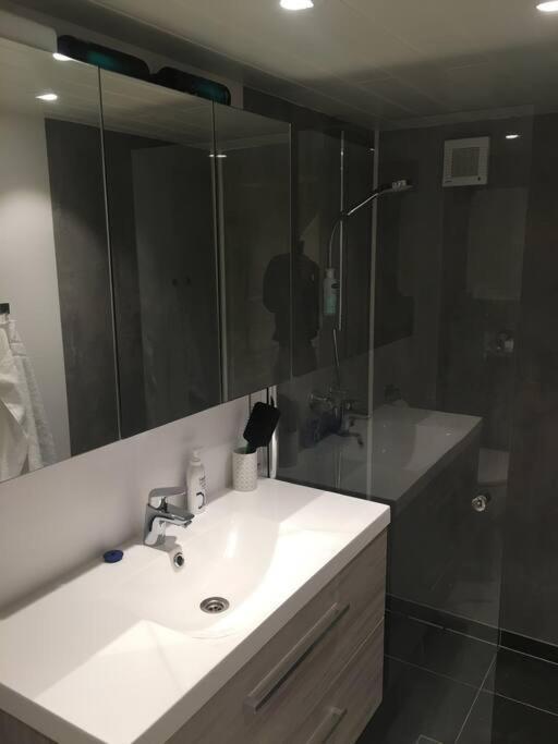 Senja, Skaland Apartment Εξωτερικό φωτογραφία